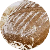 Zrnopan T